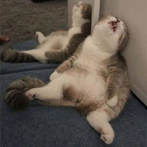 爆笑!遇上日本“靈魂翻譯”,身經(jīng)百戰(zhàn)的國乒高手都懵了