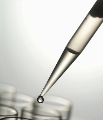 1562392808535080.jpg 生物.jpg