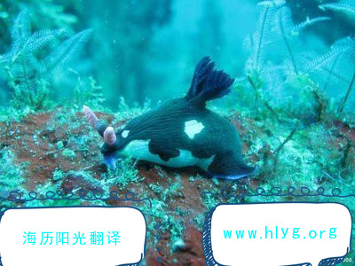 1665449928622553.jpg 導(dǎo)游詞.jpg