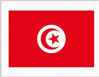 1683619387783352.png 突尼斯.png