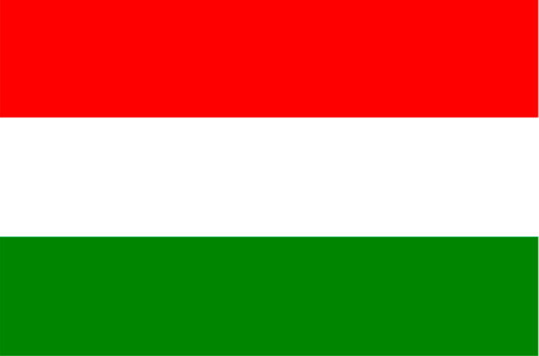 1699922100605853.png 匈牙利語翻譯.png