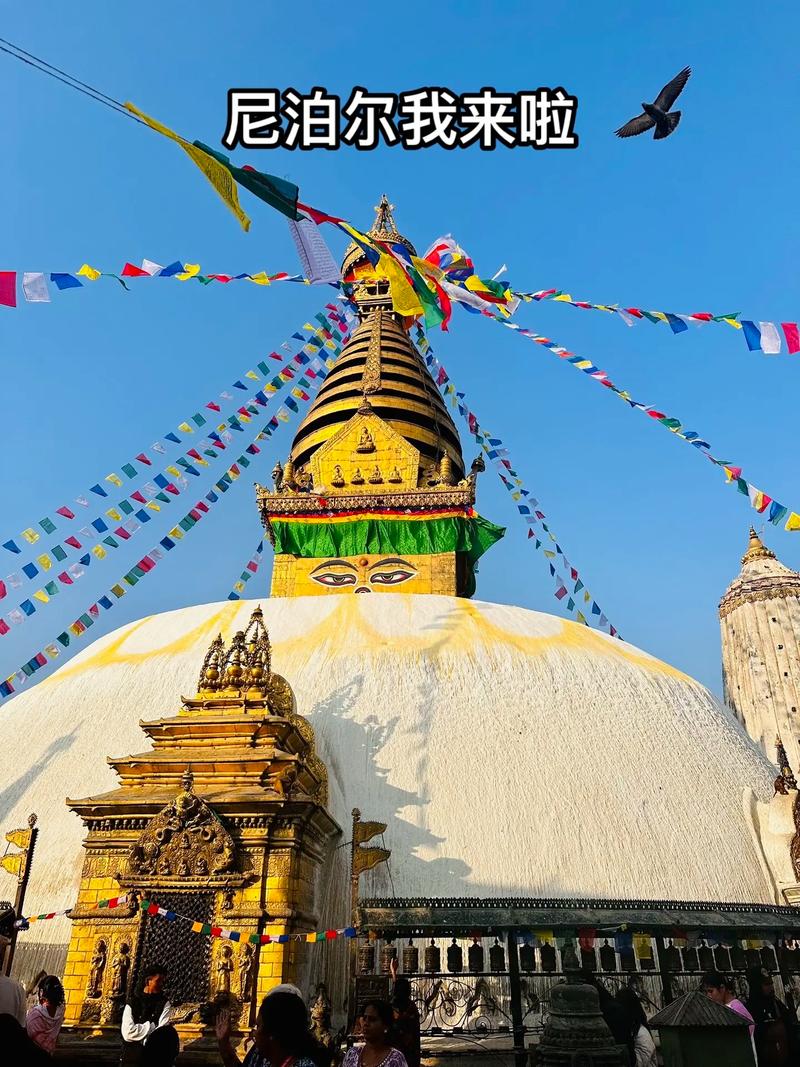 1755129329897779.jpeg 尼泊爾語翻譯.jpeg